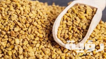تفسير رؤية الحلبة في المنام