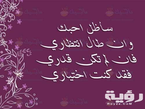 عبارات عن الحب