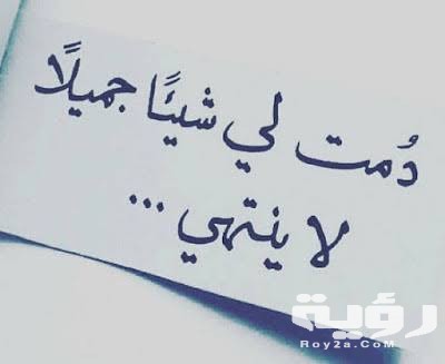عبارات عن الحب