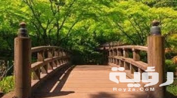 تفسير رؤية الجسر في المنام