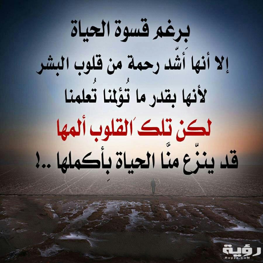 كلمات عن الحياه