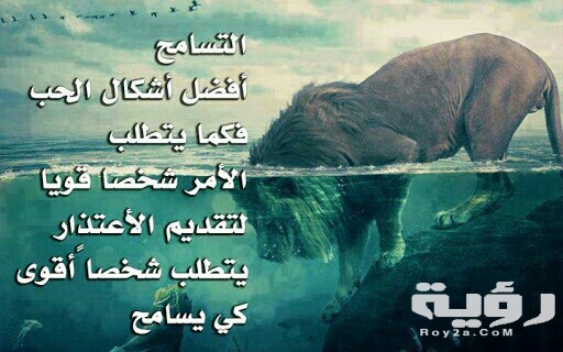 عبارات عن التسامح