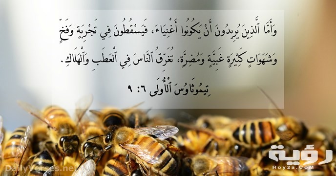 اقتباسات مؤثره عن الجشع