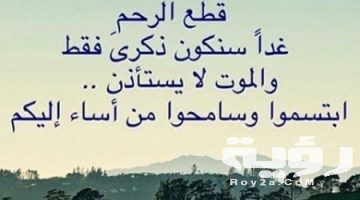55 من أجمل عبارات عن التسامح