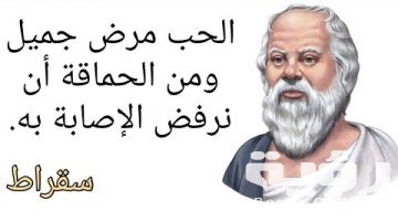 100 من أجمل حكم ارسطو