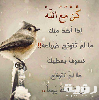 كلمات عن الدنيا الفانية 