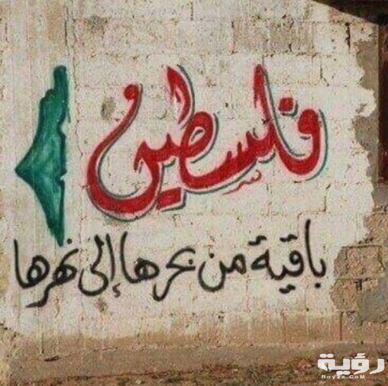كلمات عن فلسطين