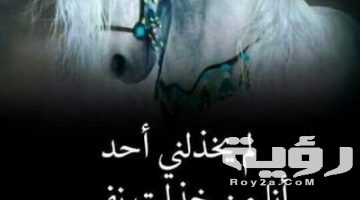 أجمل 100 من بوستات عن عدم الثقة للفيس بوك