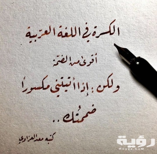 اقوال عن اللغة العربية