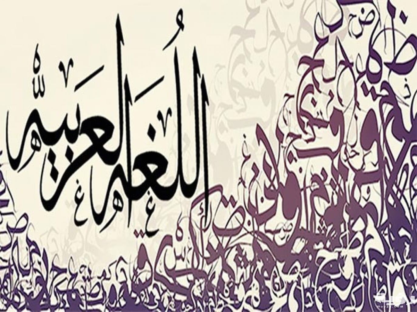 اجمل 10 اقوال عن اللغة العربية