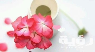 99 من اجمل عبارات عن المساء