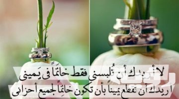 اجمل 50 من أقوال عن الحب الحلال