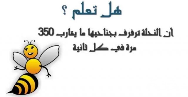 f8e7417167bb87249a23ee3dc6af3f7d 1