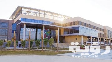 مصاريف وأسعار جامعة نيوز جيزة الجيزة الجديدة  2026 التنسيق والأوراق المطلوبة