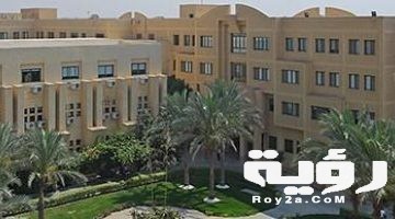 مصاريف واسعار جامعة مصر الدولية 2026 التنسيق والأوراق المطلوبة