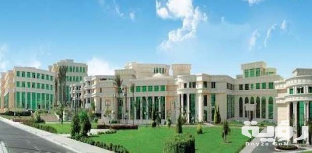 مصاريف وأسعار جامعة اكتوبر للعلوم الحديثة msa 2026 التنسيق والأوراق المطلوبة 1 C82BF778 FA19 4DB0 8BD1 95D45915C976