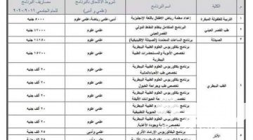 مصاريف الجامعات الحكومية في مصر 2026
