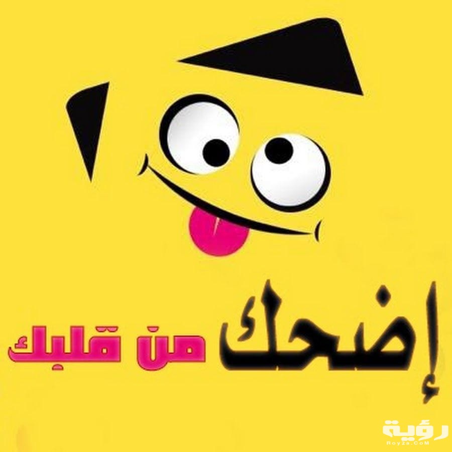 نكت تافهة 5 نكت تافهة