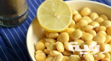 تفسير رؤية اكل الترمس في المنام