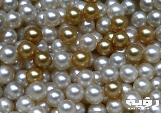 20160901 mag myanmar pearls white gold