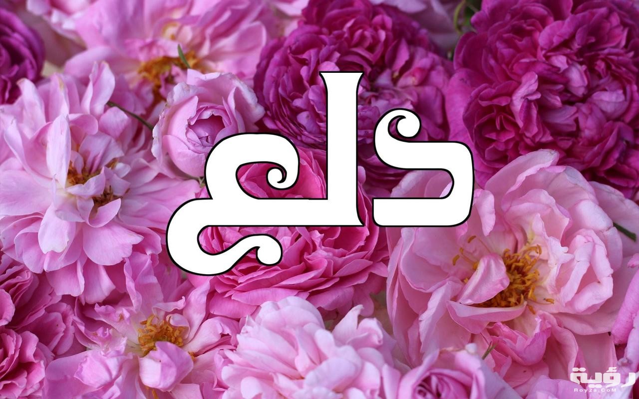 400+ اسماء دلع للبنات ومعانيها 2026 5 400+ اسماء دلع للبنات ومعانيها 2026
