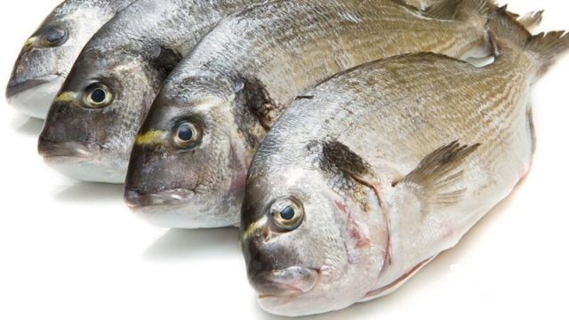 more than 5 benefits gilthead seabream