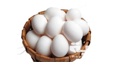 حلمت اني لقيت بيض كتير