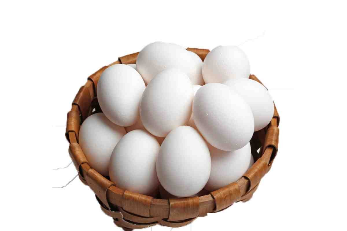 حلمت اني لقيت بيض كتير 5 حلمت اني لقيت بيض كتير