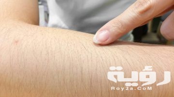 حلمت ان يدي فيها شعر