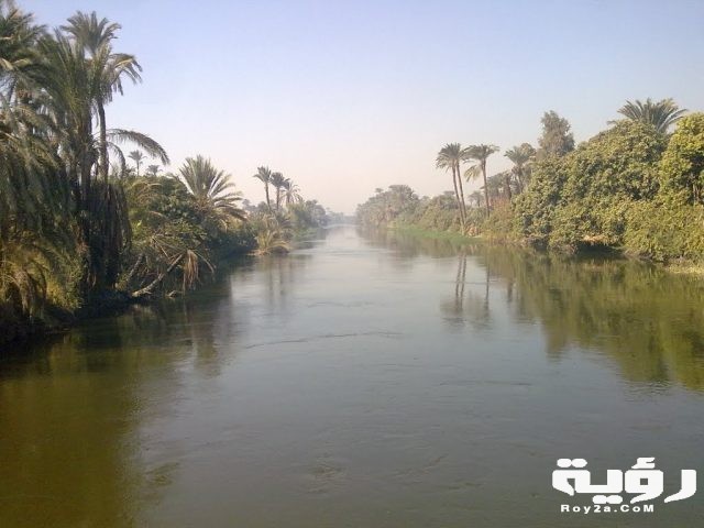 حلمت اني نزلت الترعة