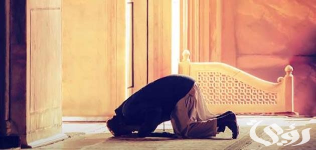 حديث: كان رسول الله يرغب في قيام رمضان متن الحديث
