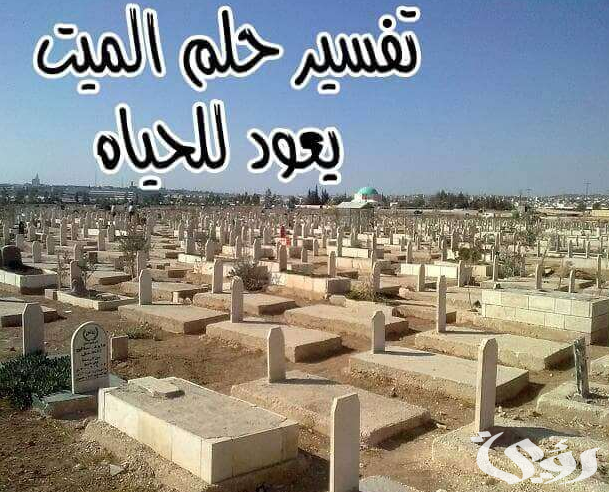 تفسير رؤية الميت يعود للحياة في المنام 5 تفسير رؤية الميت يعود للحياة في المنام