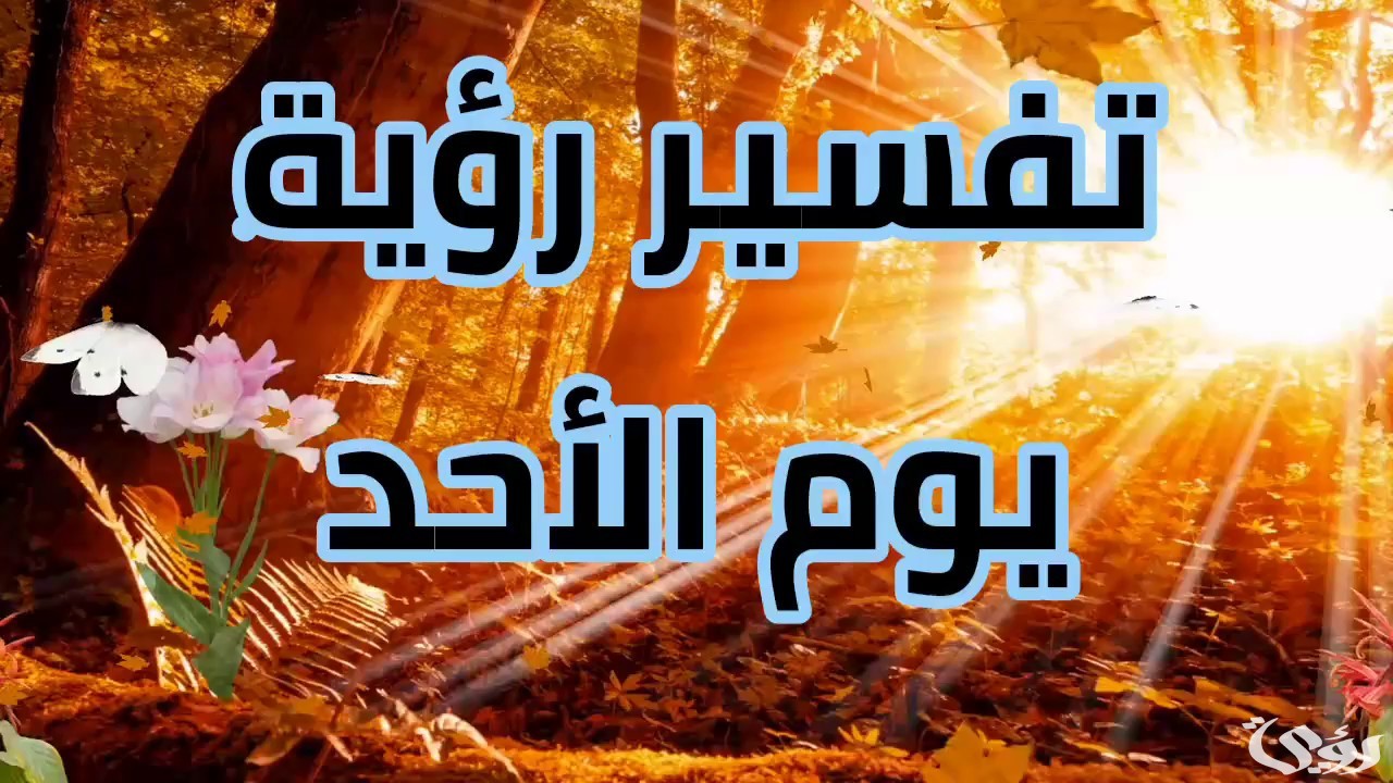 أشهر 15 تفسير رؤية يوم الأحد في المنام 5 أشهر 15 تفسير رؤية يوم الأحد في المنام