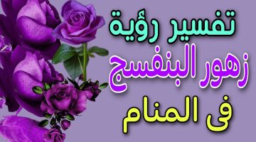 تفسير رؤية زهور البنفسج 5 تفسيرات في المنام