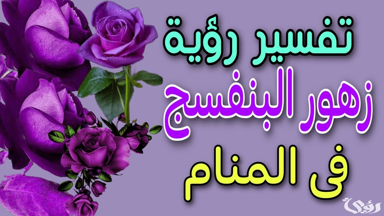 تفسير رؤية زهور البنفسج 5 تفسيرات في المنام 5 تفسير رؤية زهور البنفسج 5 تفسيرات في المنام
