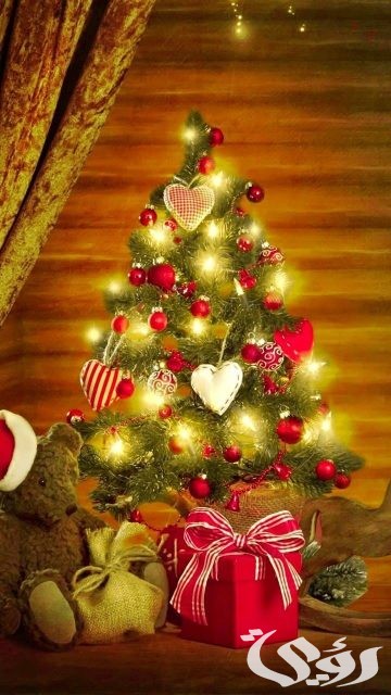 صورة شجرة الكريسماس