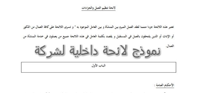نموذج لائحة داخلية لمنظمة جاهز 1 نموذج لائحة داخلية لمنظمة