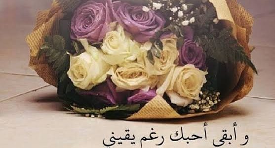ما هو الرد على كلمة بحبك 1 images 2022 12 20T201111.700