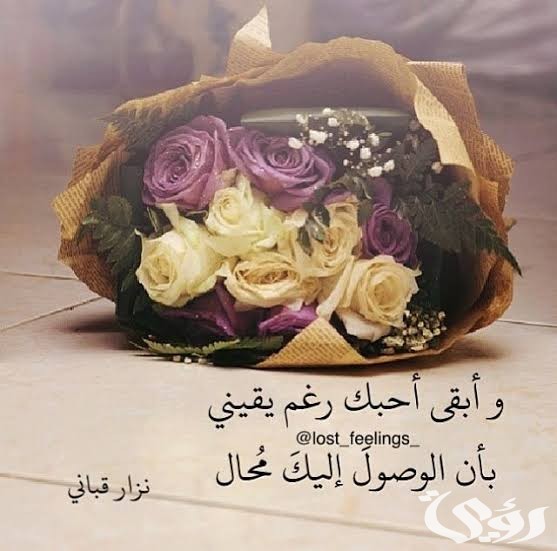 ما هو الرد على كلمة بحبك