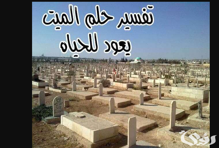 ما تفسير رؤية الميت يعود للحياة في المنام