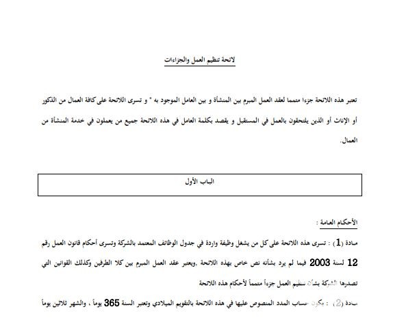 نموذج لائحة الجزاءات