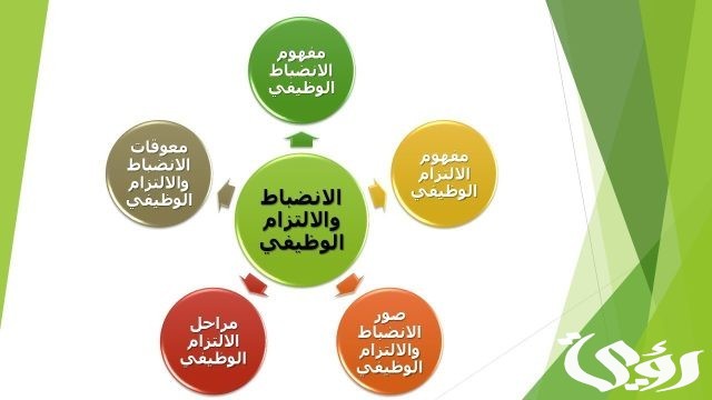 ماذا يحدث عند غياب الانضباط الوظيفي؟