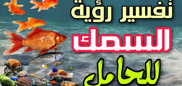 ما تفسير حلم رؤية أكل السمك للحامل 1 تفسير حلم أكل السمك للحامل