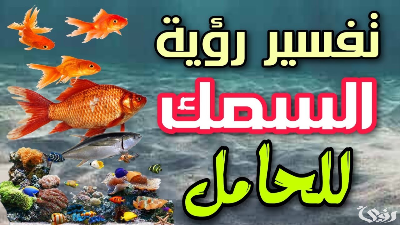 ما تفسير حلم رؤية أكل السمك للحامل
