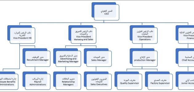 نموذج هيكل تنظيمي جاهز 1 نموذج هيكل تنظيمي