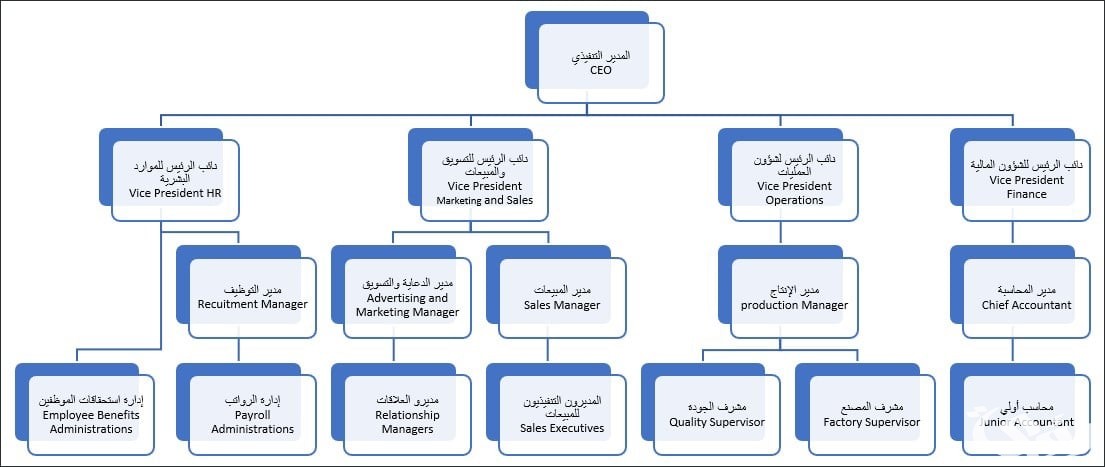 نموذج هيكل تنظيمي جاهز