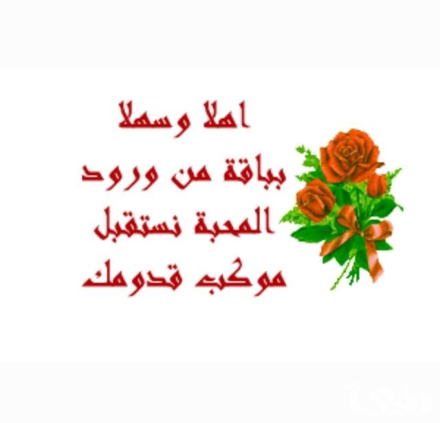 الرد على عبارات الترحيب 