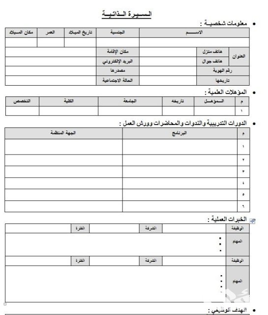 نموذج cv عربي