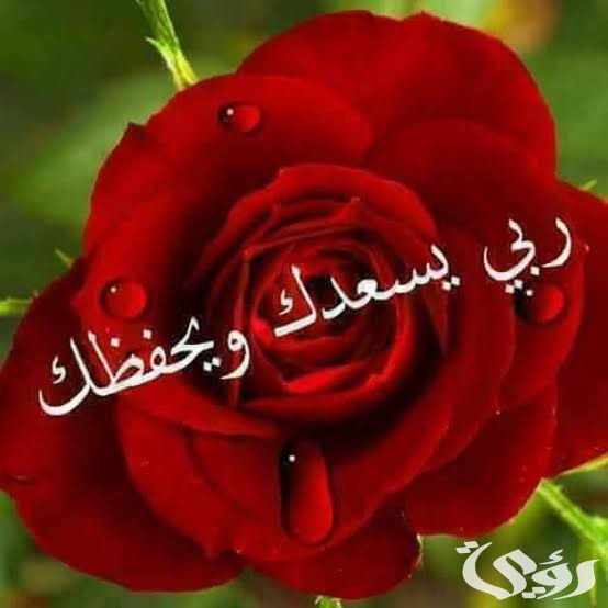 الرد على حياك الله 