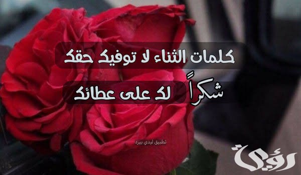 الرد على عبارات الثناء 